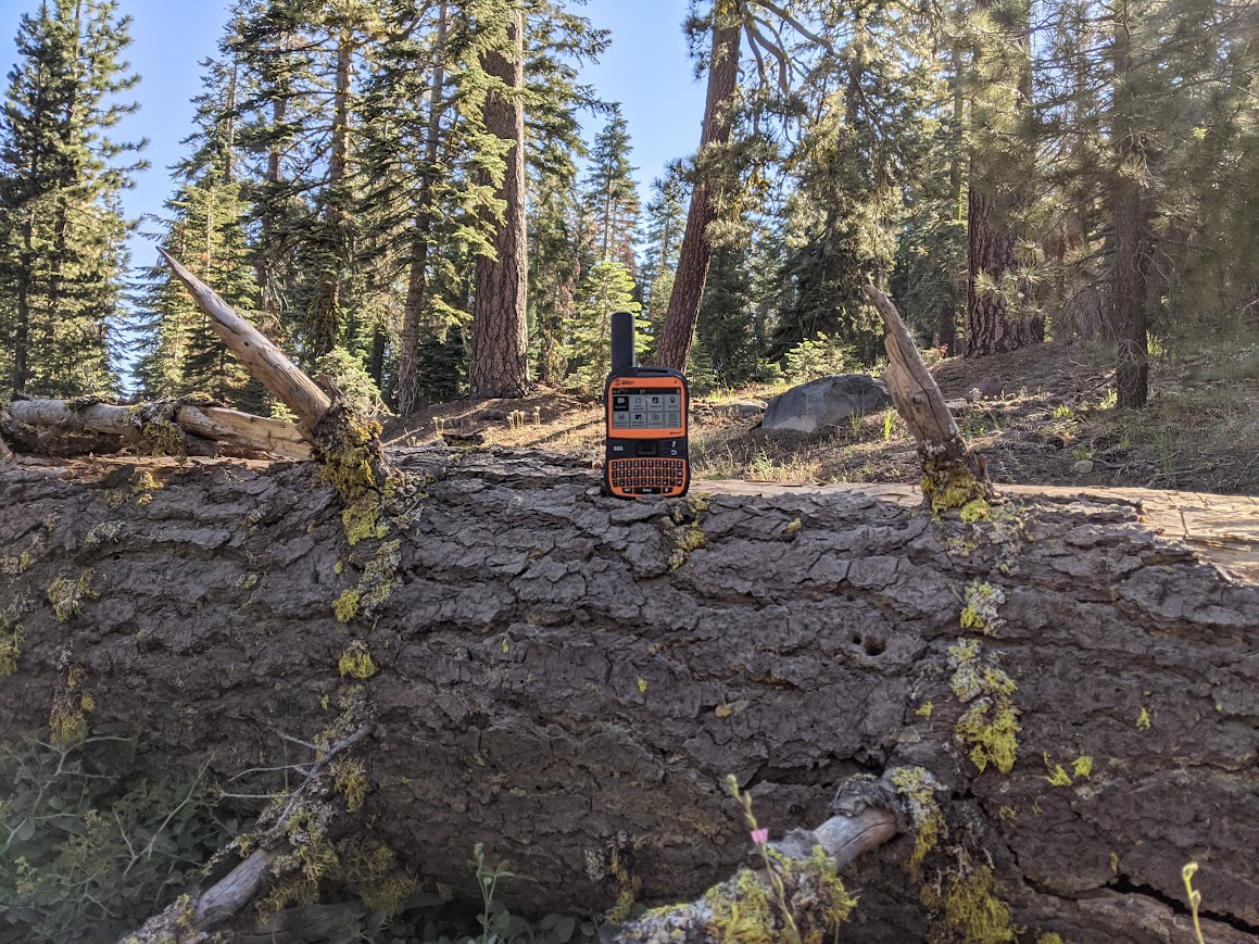 spot x forest spot x forest