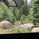 What a great ride. A little hot out but overall great ride.