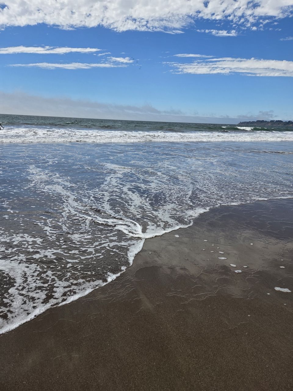 Over 100 ° in San Joaquin County,  so we took a ride to Stinson Beach to cool off.